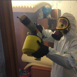 Уничтожение клопов в квартире. Верхняя Тура